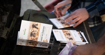 Fontos a megelőzés: már a közelben a kór